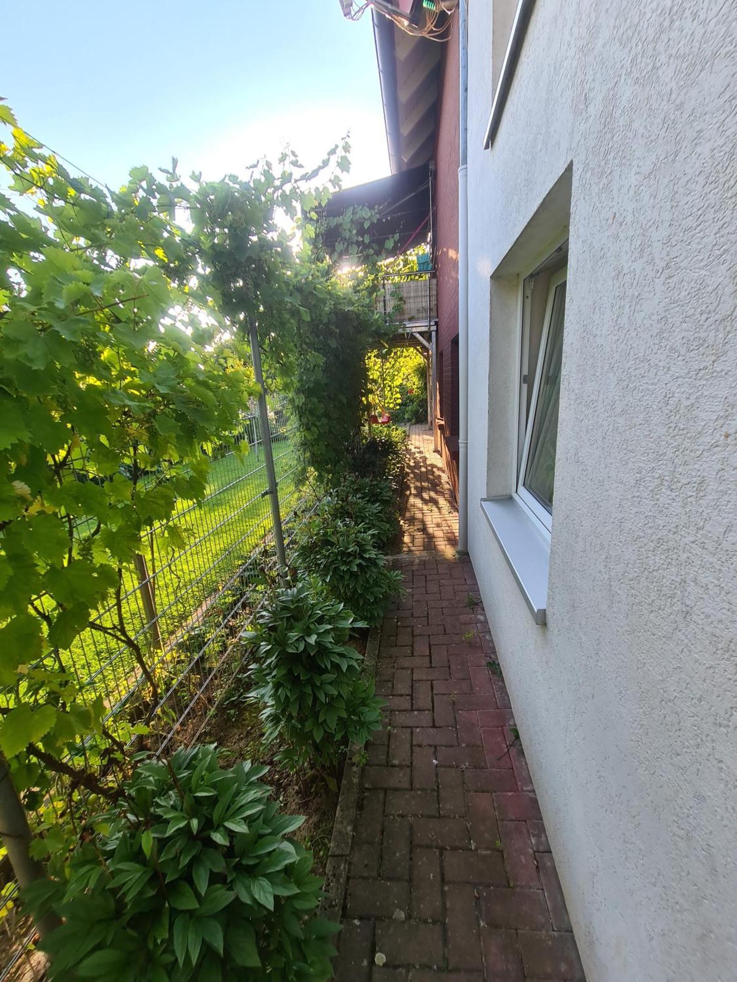Suedharzperle Διαμέρισμα Bad Lauterberg Εξωτερικό φωτογραφία